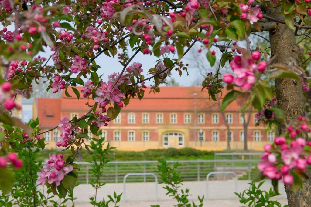 Hotel Vierseithof Luckenwalde Εξωτερικό φωτογραφία