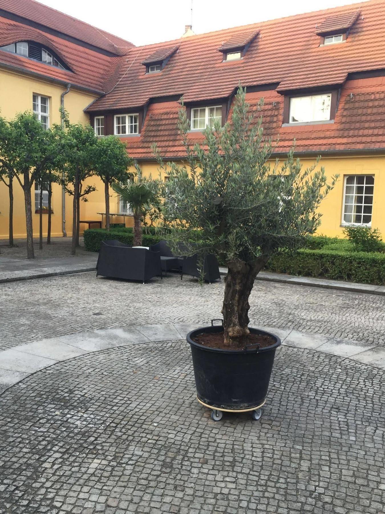 Hotel Vierseithof Luckenwalde Εξωτερικό φωτογραφία